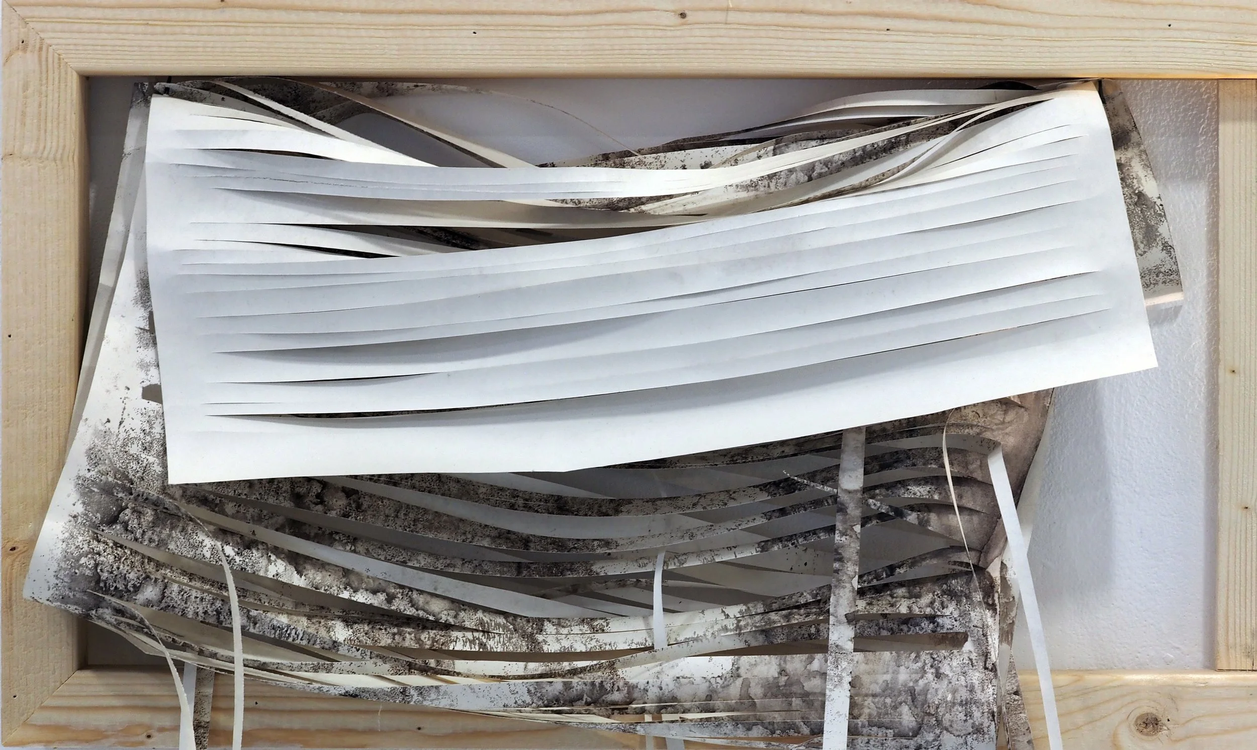 Detail of ‘The Shutters’