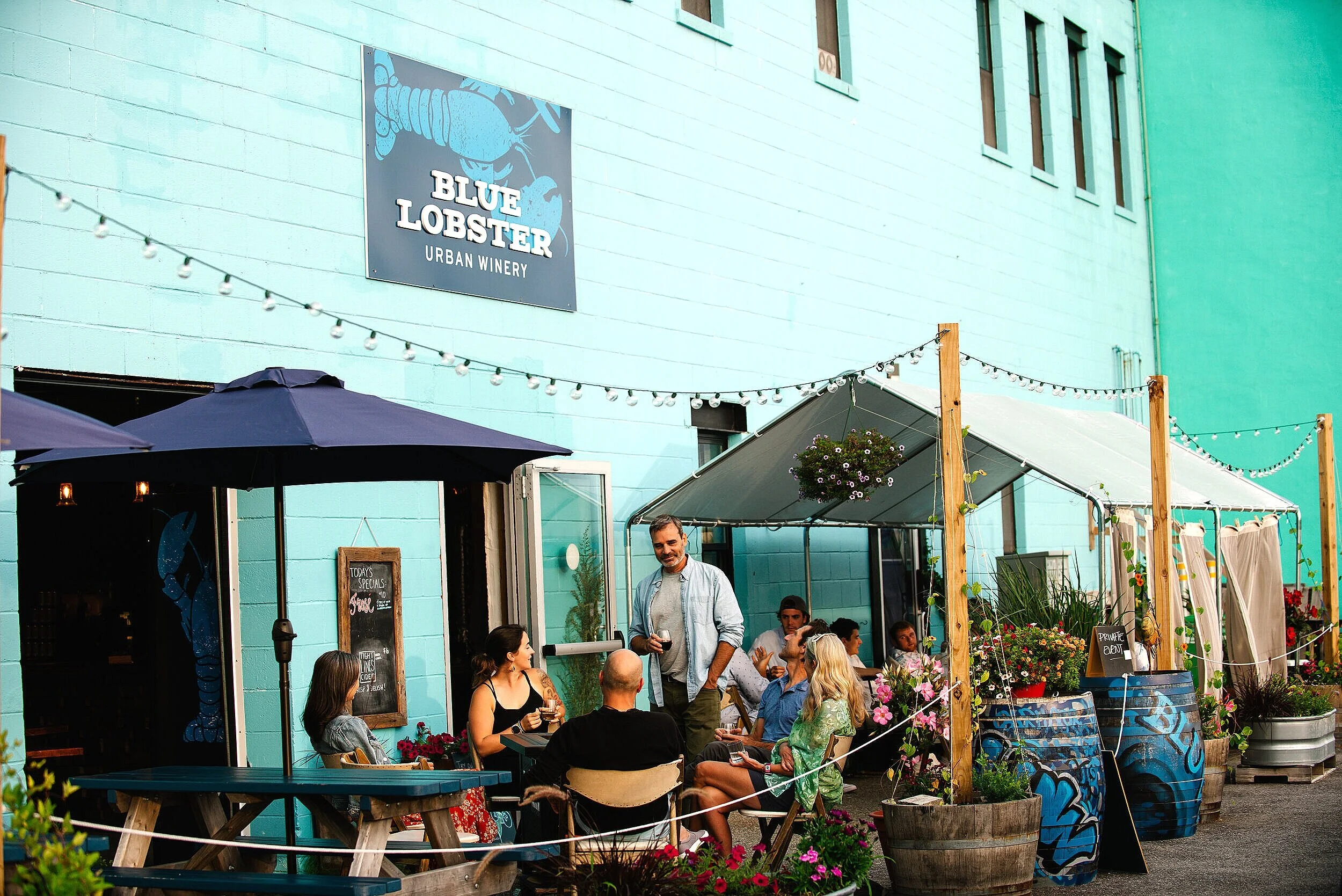 About Us Portland Maine Wine Bar & Tasting Room Canned Wines & Hard