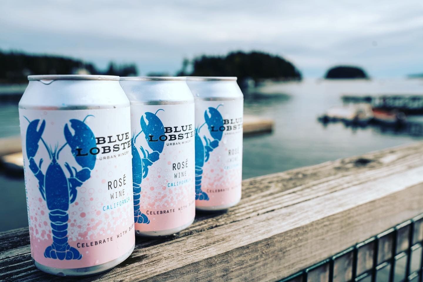 Sun is out! We&rsquo;ll be open from 4-8 today if you need a 4 pack to-go! Also $6 wine pours for happy hour. 

Photo credit: @aschundler