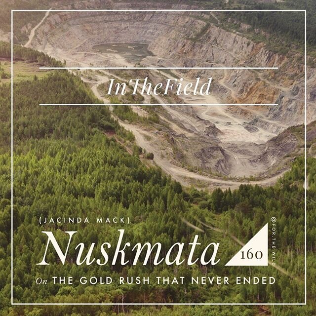 I highly recommend checking out the latest episode of In the Field with @for.the.wild -a deep dive with Nuskmata (Jacinda Mack) into the legacy of mining in so-called British Columbia. .
.
From For the Wild:
.
.
&ldquo;In this week&rsquo;s In The Fie