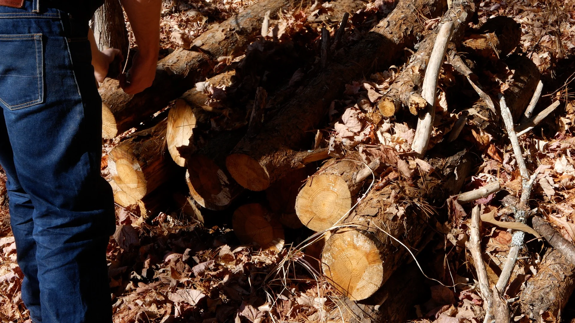 woodturning firewood log to bowl