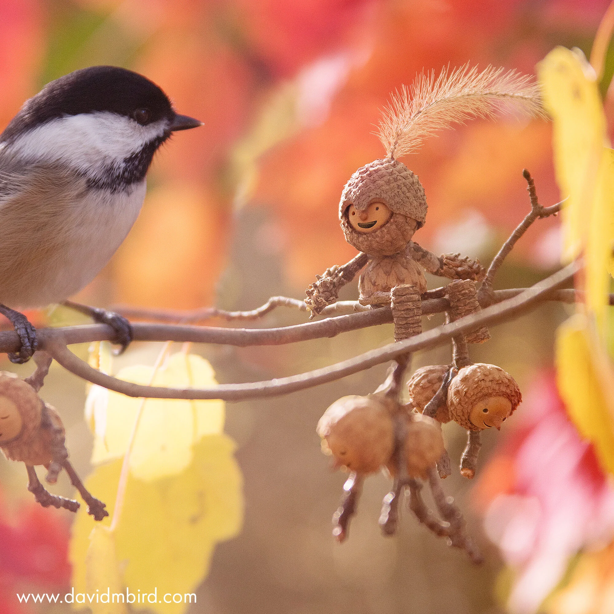 Rockabye Becorns David M Bird Rockabye Becorns David M Bird