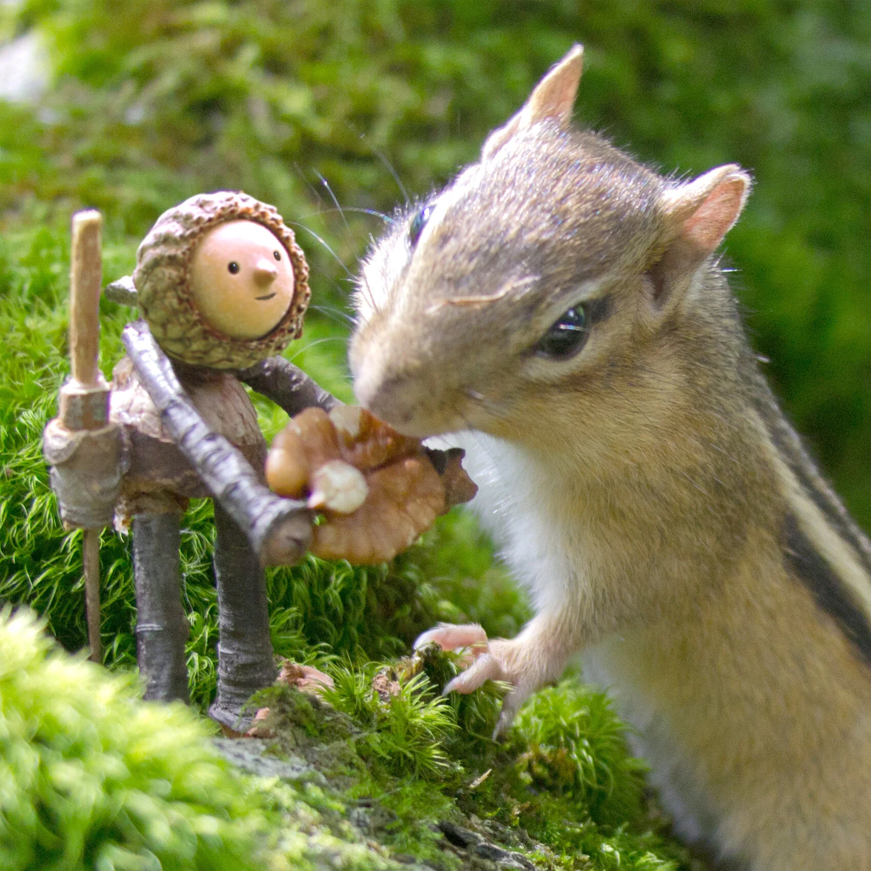 Becorns art Forum At Permies 