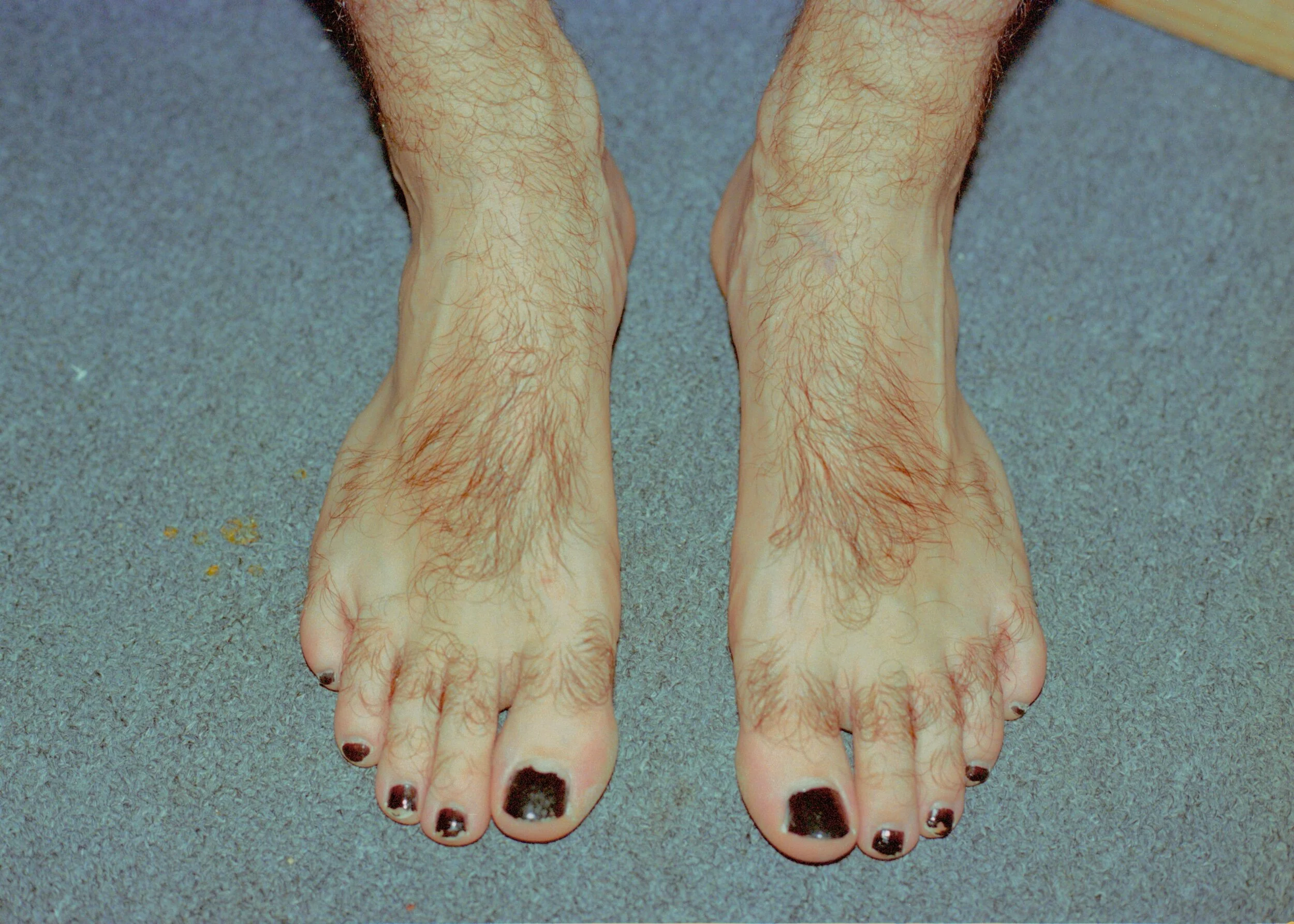 2010 Morgan Hairy Feet AMS.jpeg