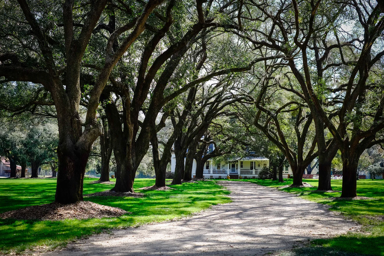 Contact — Woodside Plantation - Premium Guided Hunting