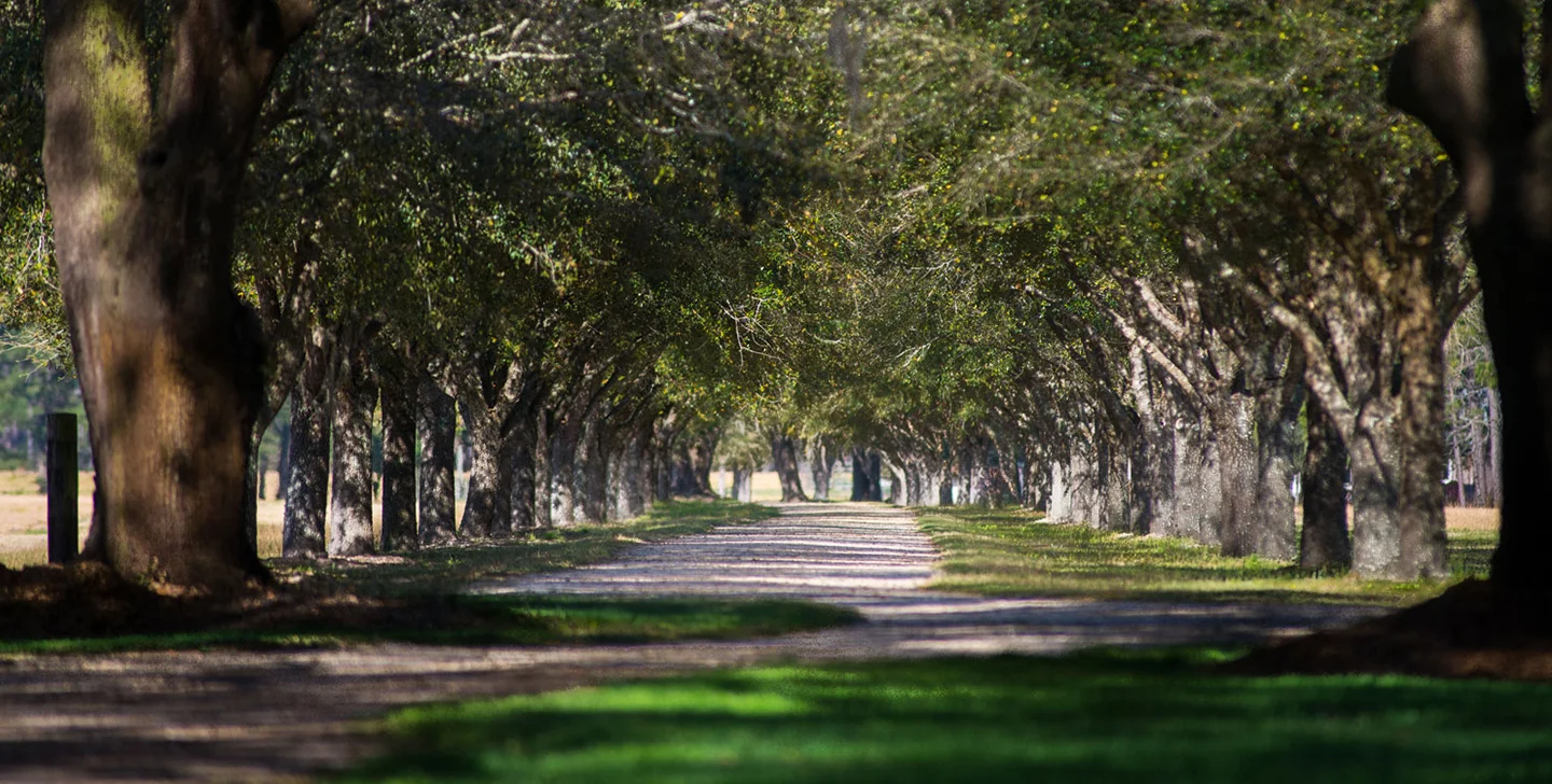 Woodside Plantation Premium Guided Hunting