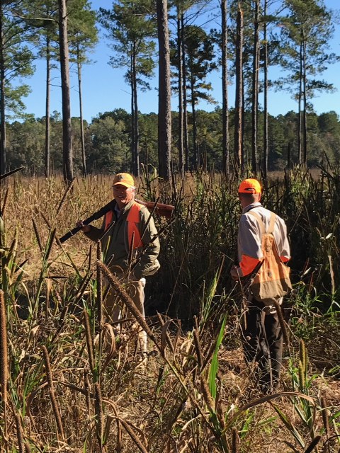 Quail Hunting — Woodside Plantation - Premium Guided Hunting