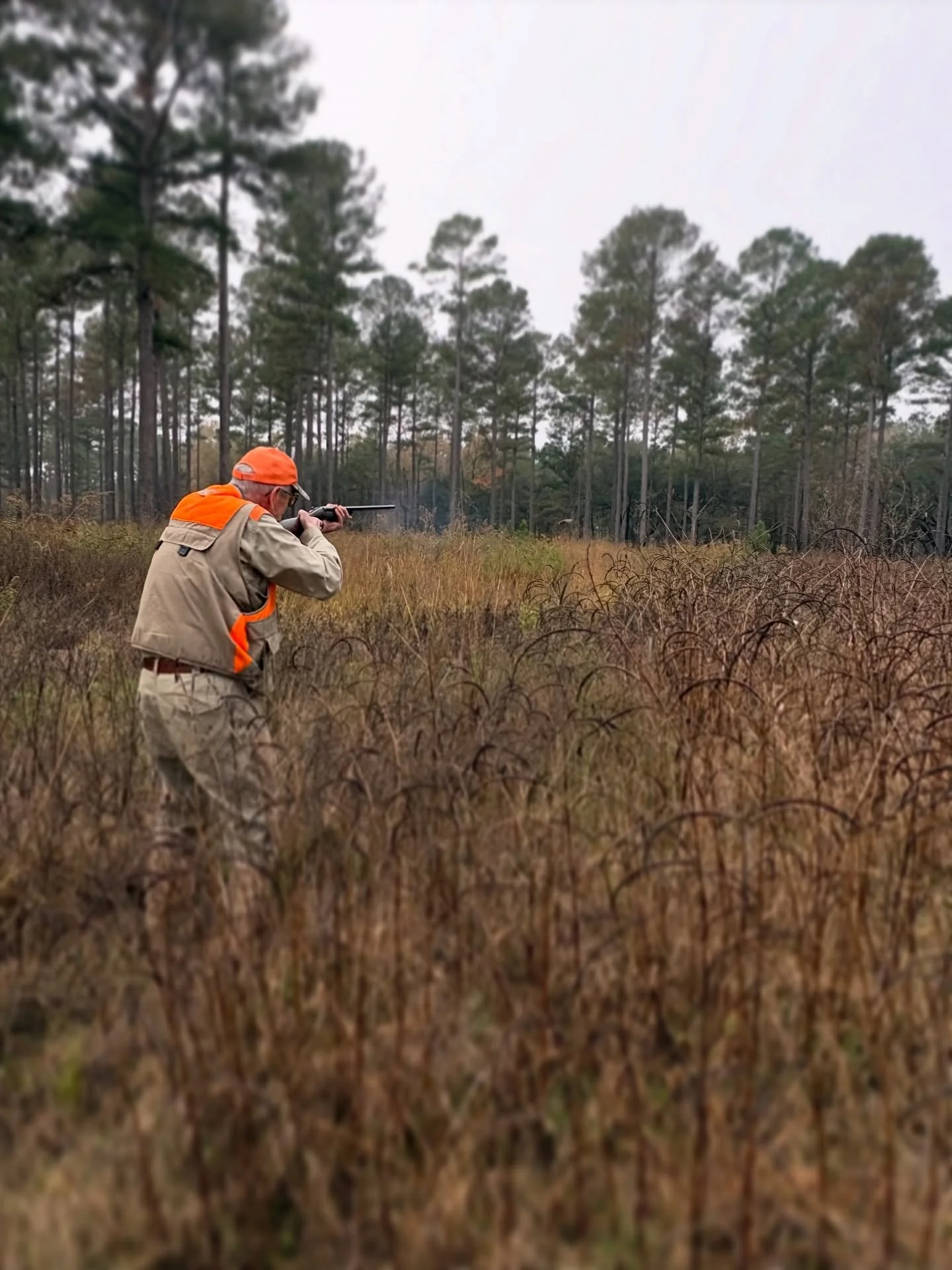 The boys were getting it done today. Despite the fog and no wind, everyone brought home a pile of birds 💥#woodsideway
