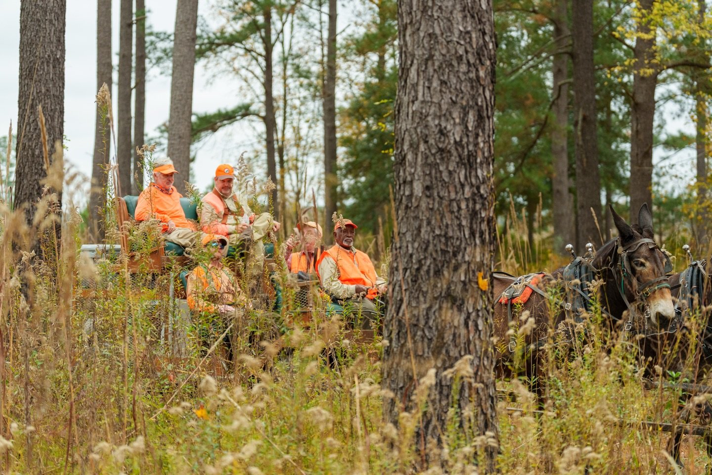 Happy Thanksgiving from Woodside! We&rsquo;re beyond grateful for old friends and new this season. Giving thanks for our incredible team, those who have made our program stand out from the field and joined us to create memories that will last a lifet