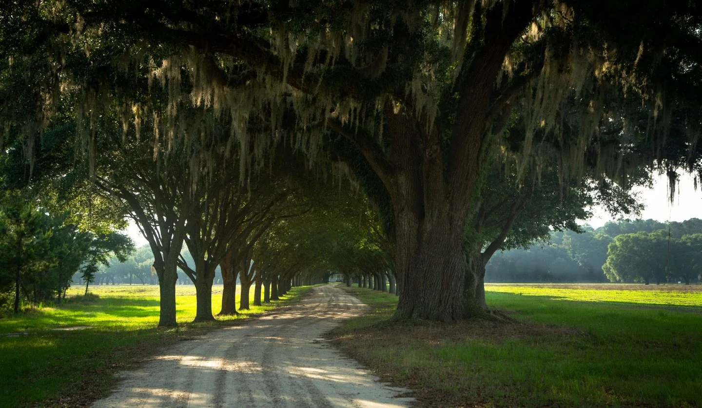 We&rsquo;re offering something a little different here at Woodside, because it is different here. From a Google search it might appear that we&rsquo;re just another hunting lodge, but roll up the driveway and discover a property that unfolds before y