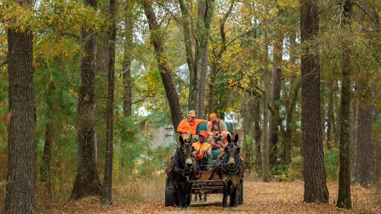 Here&rsquo;s one way to start the week. 

📸: @burpees_collective