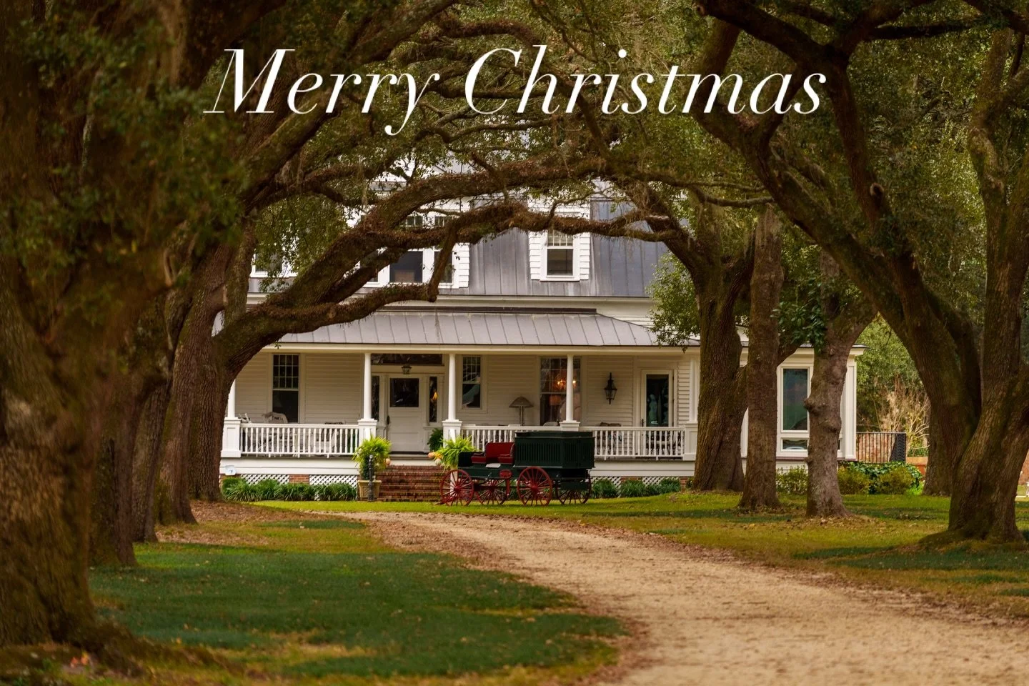 Sending you holiday blessings from Woodside!