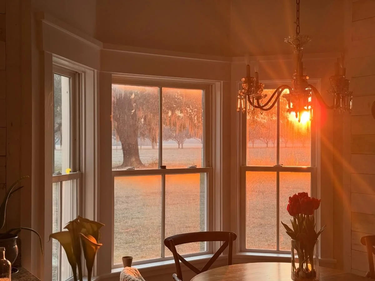 The soft, warm light of spring returns. As the height of quail hunting season begins to wind down, we turn some of our attention to gardens, opening porches, preparing for pollen, and planting for the upcoming season. We now awaken to bird song - and