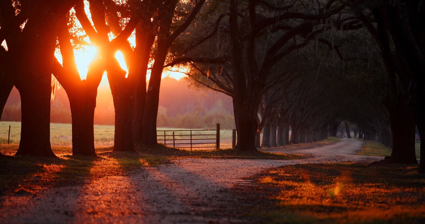 Golden hour at Woodside is not optional.