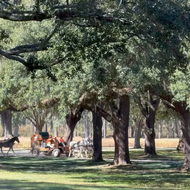 Aaand, that&rsquo;s a wrap! Huge shout out to everyone who made this season unforgettable. We couldn&rsquo;t ask for a better crew here at Woodside, and we couldn&rsquo;t imagine a group of members with more character and good will to share the seaso