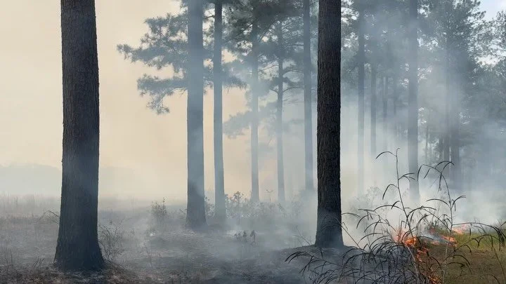 It&rsquo;s that time of year again! The fun never ends and we are ***HIRING*** a full-time guide with on-site housing available 🔥🔥🔥

If you or someone you know might be a good fit, shoot us a DM and email a resume to info@woodsideplantationsc.com