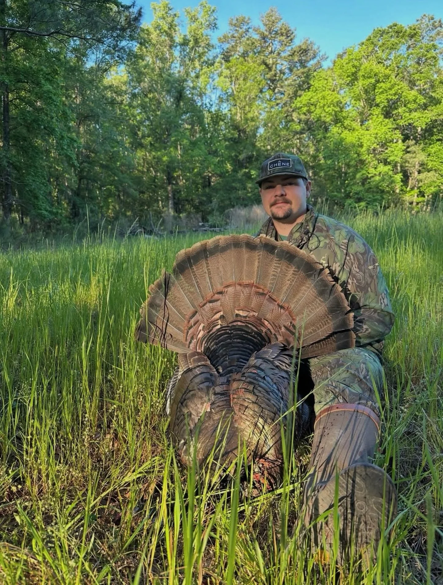 Check out those tail feathers 🦃