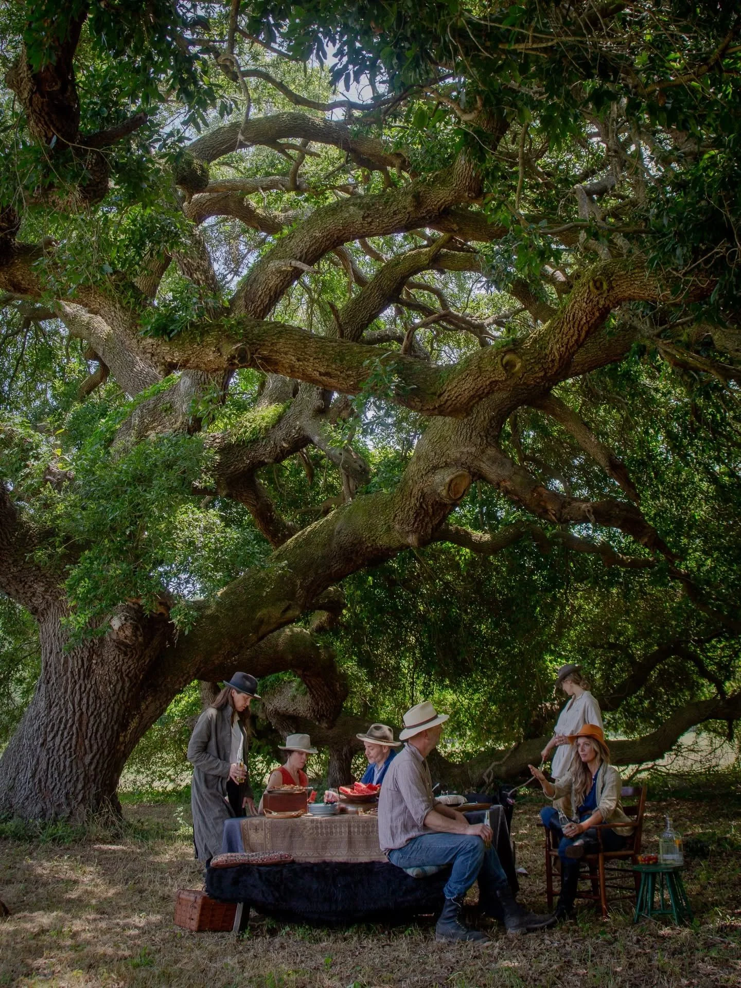 It&rsquo;s that perfect time of year in the Lowcountry; warm temps, cool breeze, and no humidity. Lunch under the oaks, anyone? 

Cheers 🍻

📸: Juliette Hermant @maisonbergogne @maisonbergognegatherings