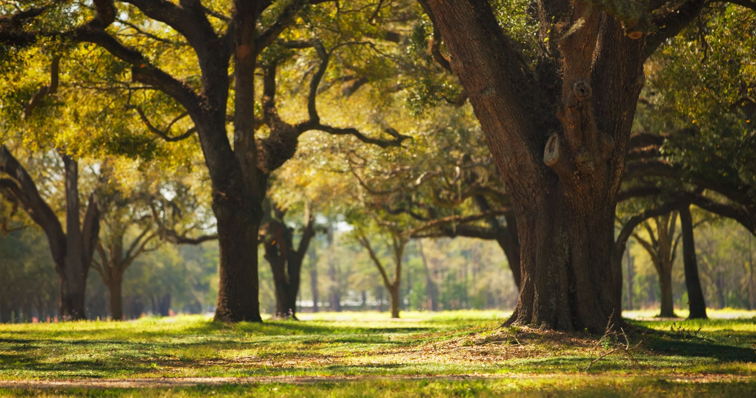 Still 2025-05-19 141045_1.131.1.jpg