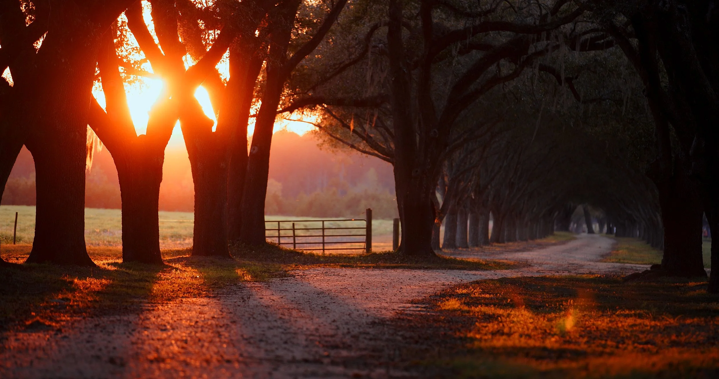 Still 2025-05-19 141045_1.59.1.jpg