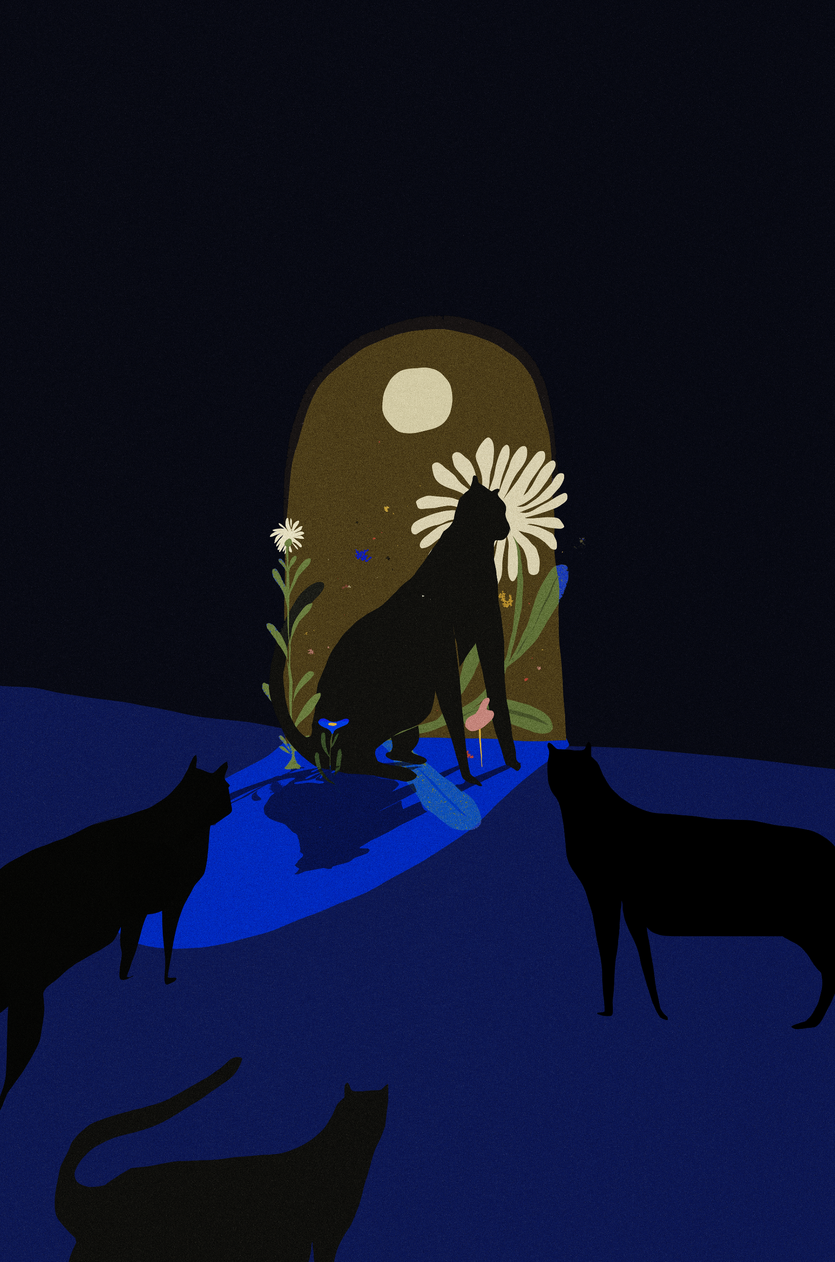 Night cats