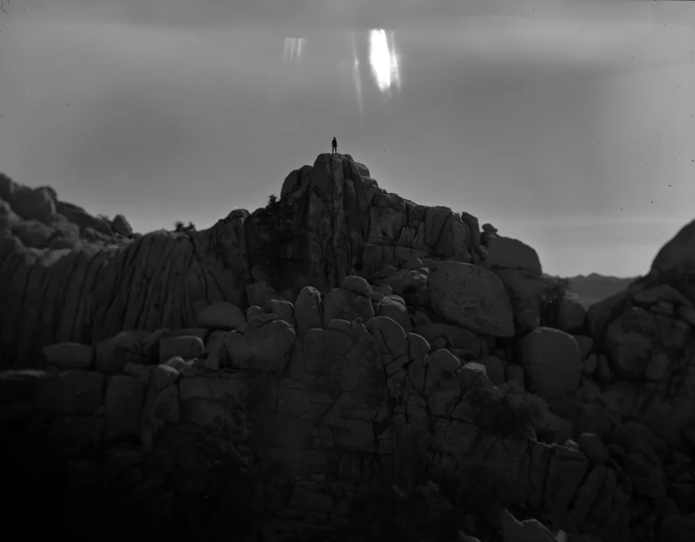 JOSHUA TREE