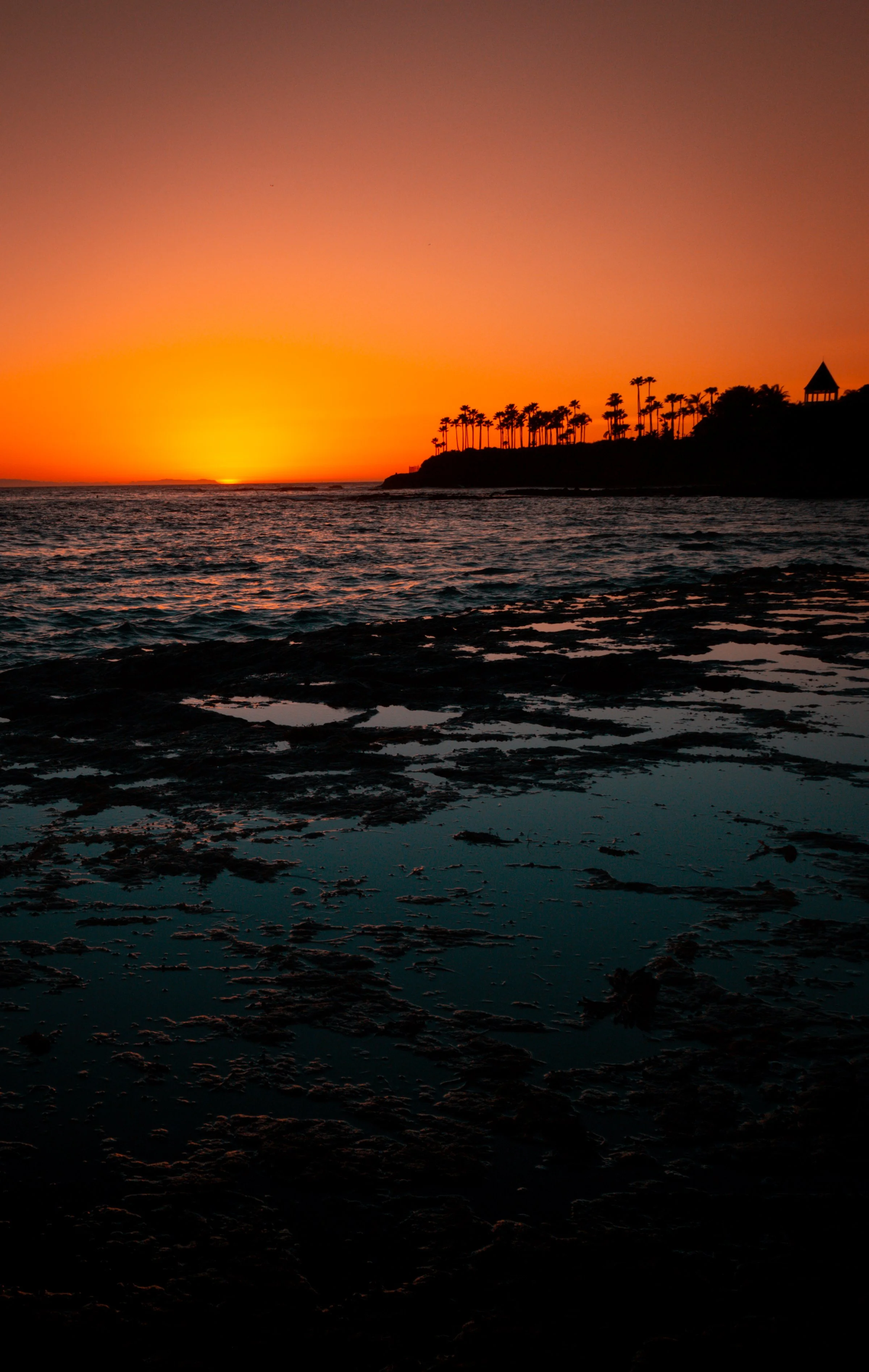 Sunset over the ocean with silhouette of palm trees and a small pavilion on a hill.