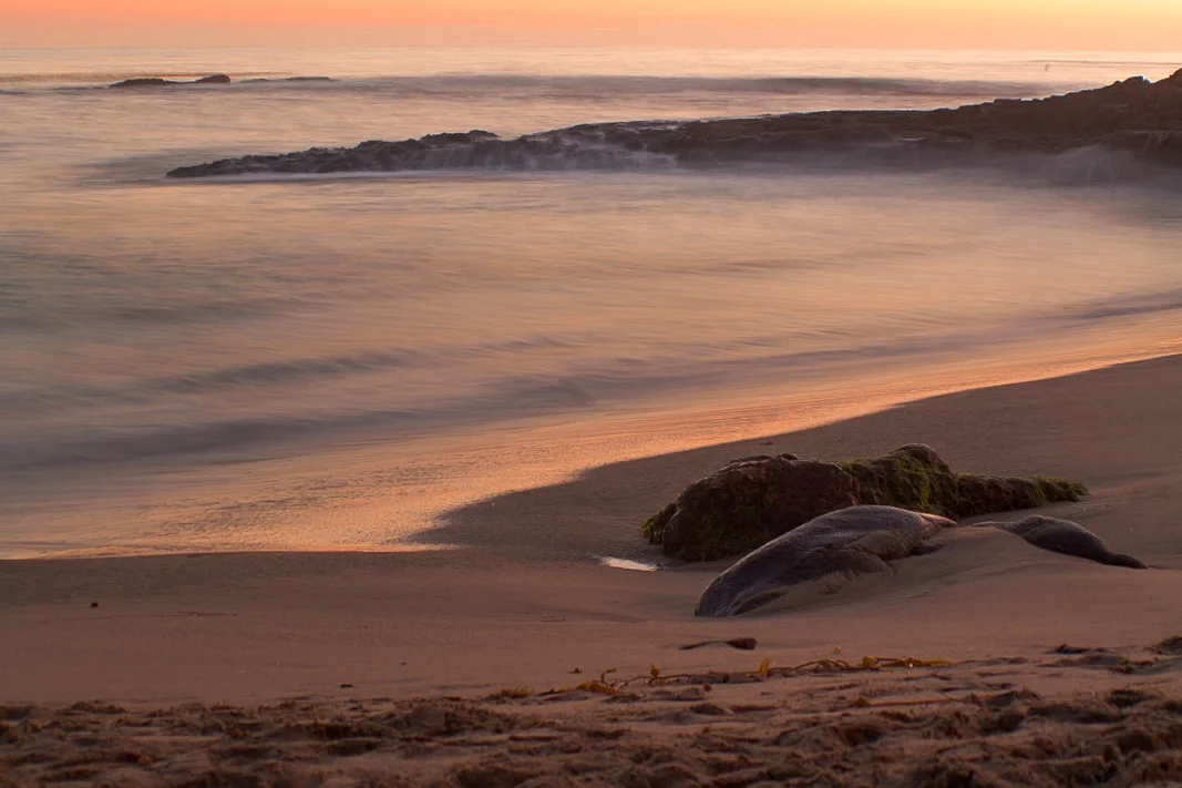 Divers Cove Rocks 1.jpg