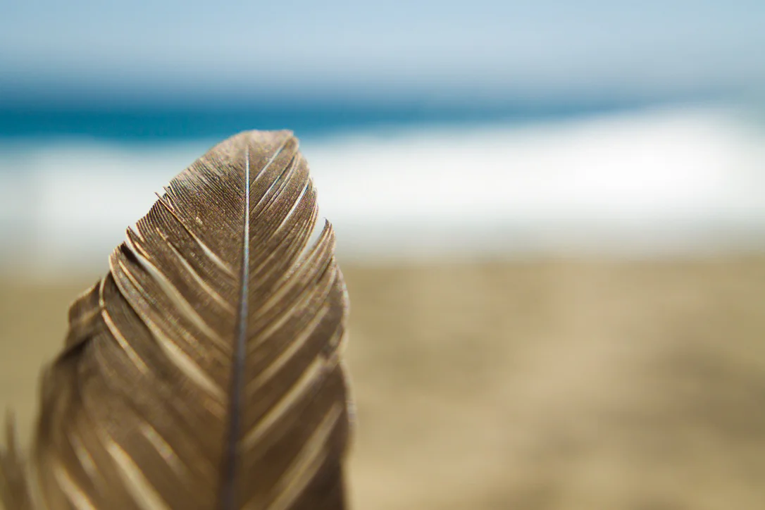 Surfer Salt Creek 3.jpg