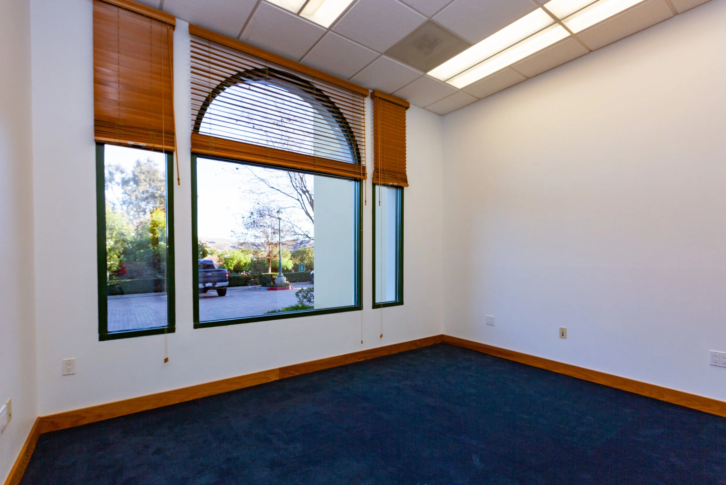 Empty office room with white walls, large windows with wooden blinds, dark carpeted floor, and a view of parking lot and trees outside.