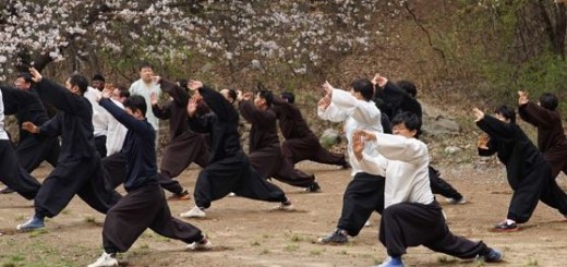 Have you ever tried learning Kung-Fu by yourself? Forget about it.