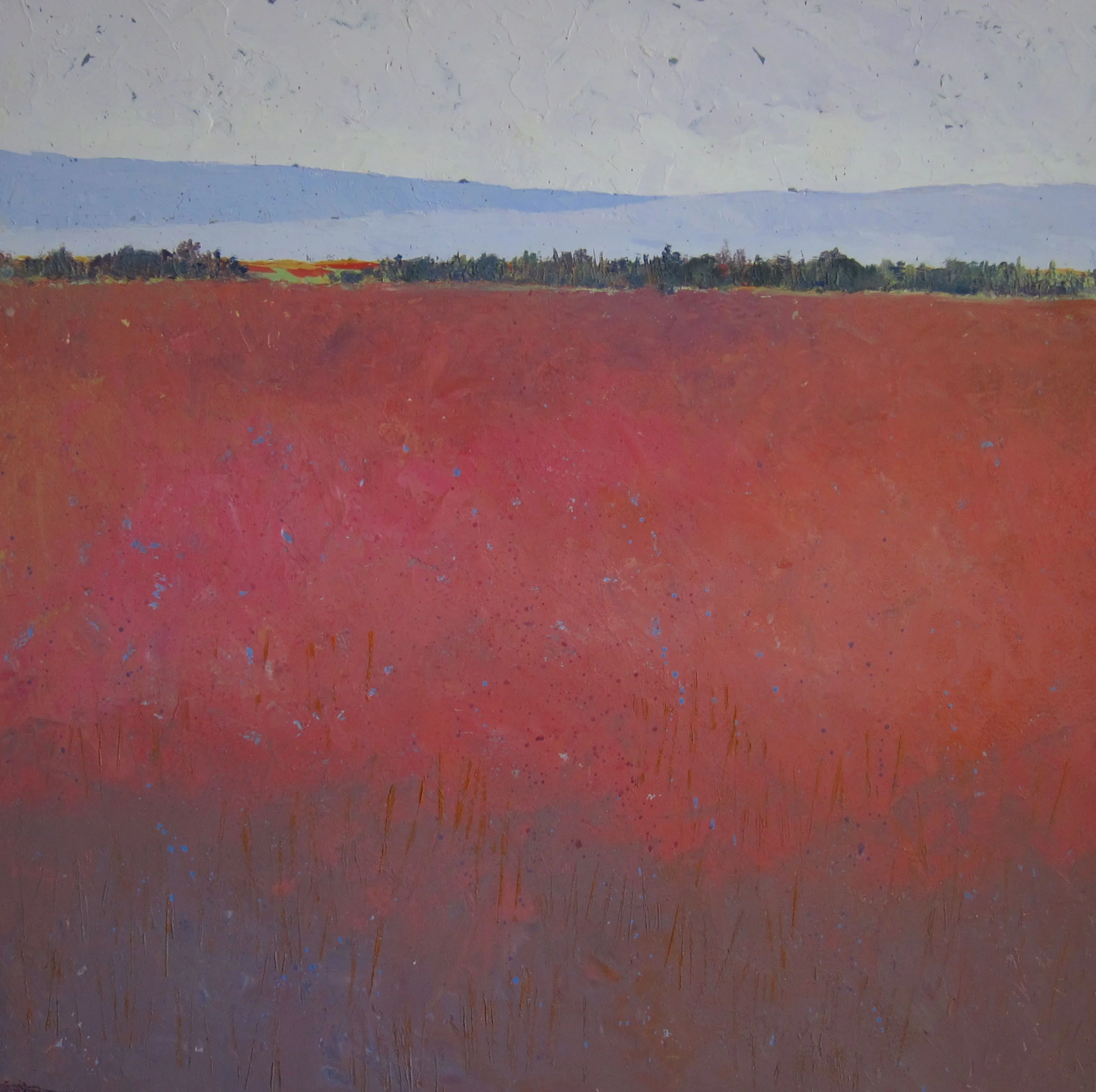 SPRING FIELD | 24”square, 2.75" deep, O/P, gallery wrap edge SOLD