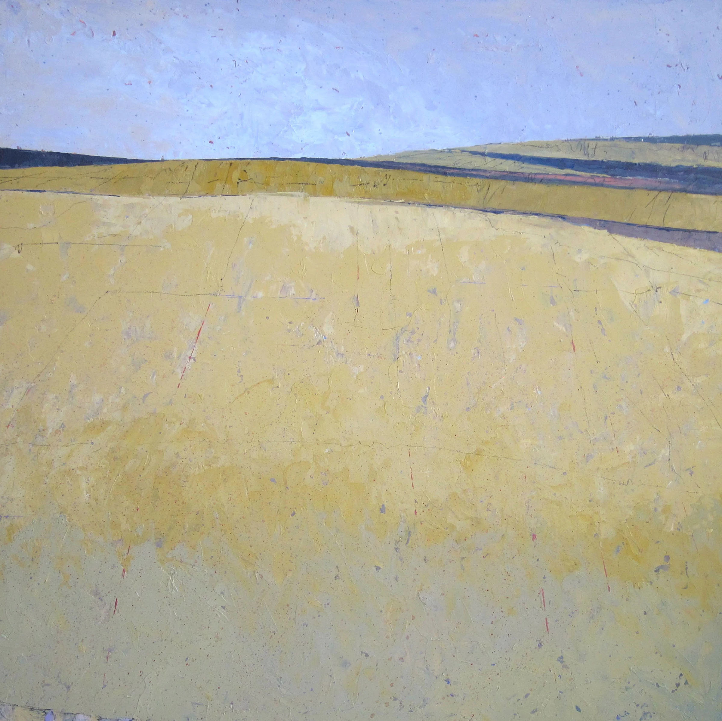 HILLS | 24”square, 2.75" deep, O/P, gallery wrap edge SOLD