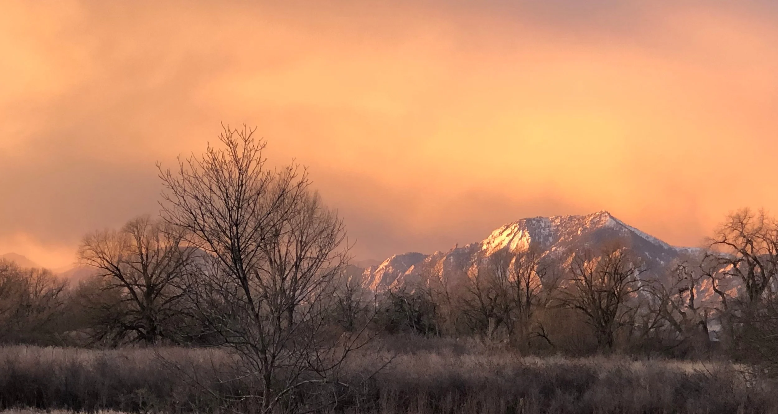 Winter%2718Sunrise.jpg