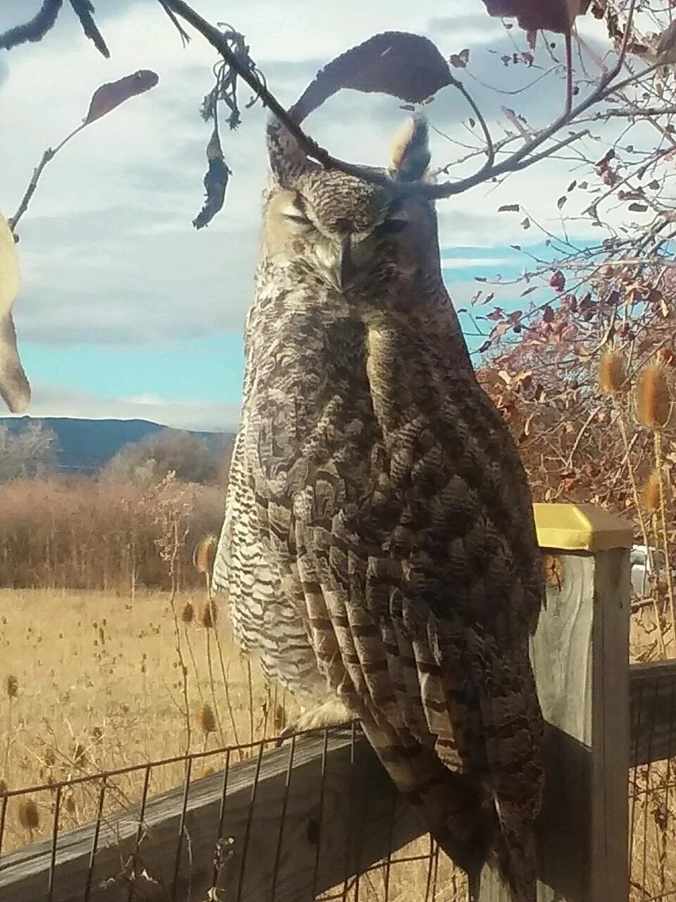 Silence, Wisdom &amp; The Whispers of My Neighbors