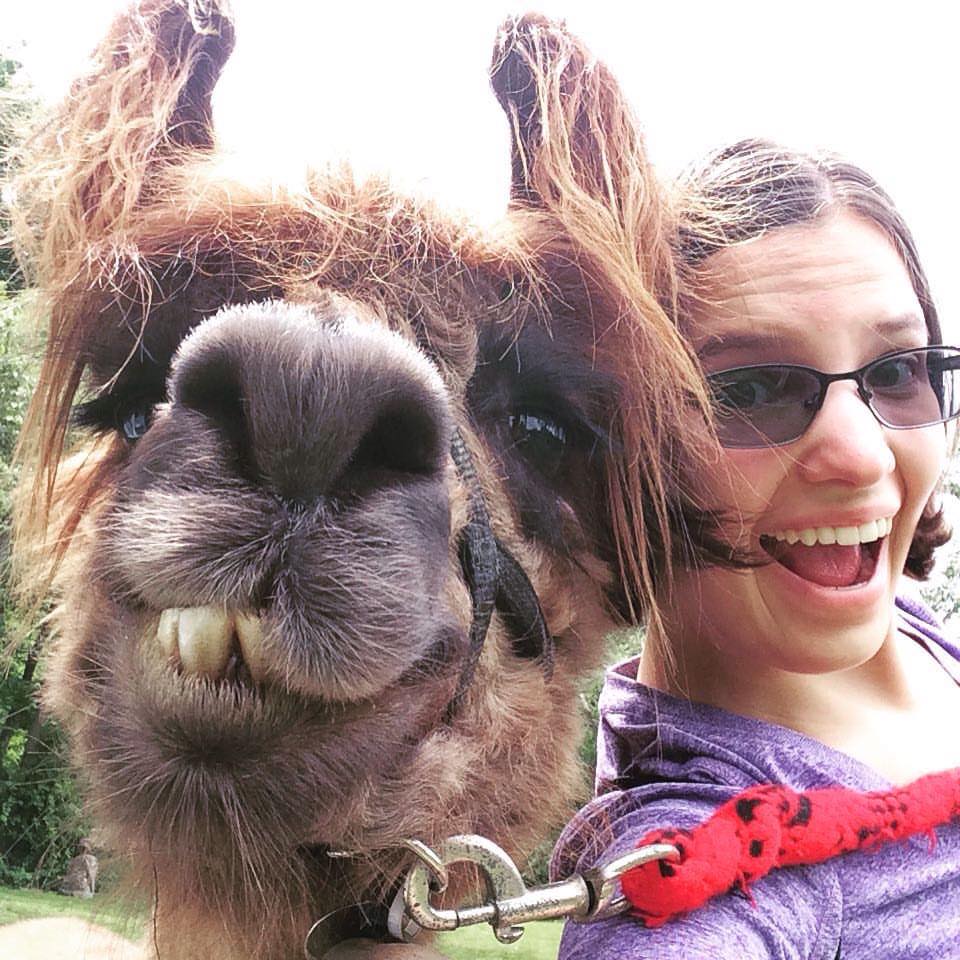 Lark the llama selfie (1).jpg
