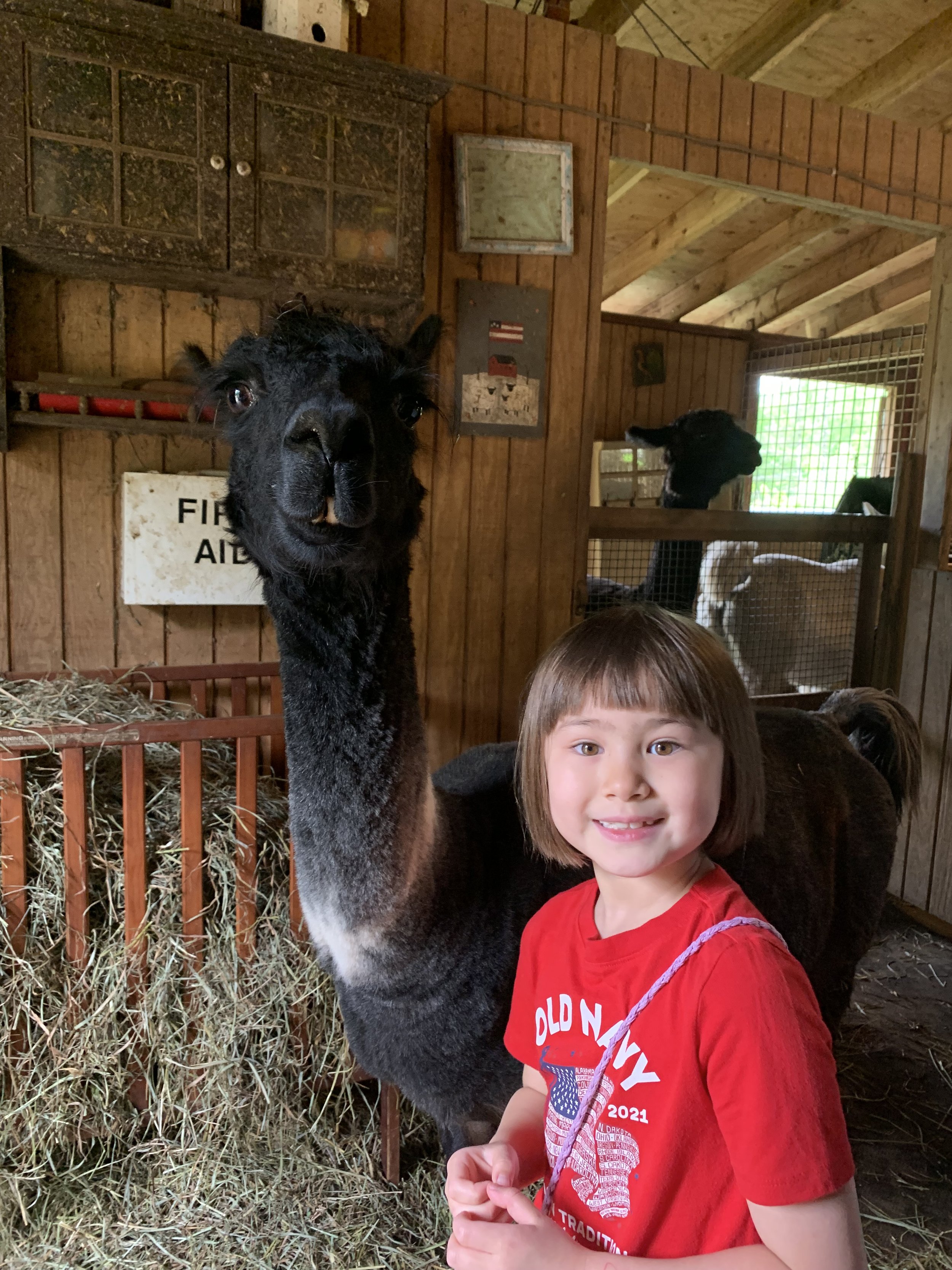 cria abbey cutest girl with moon.jpg