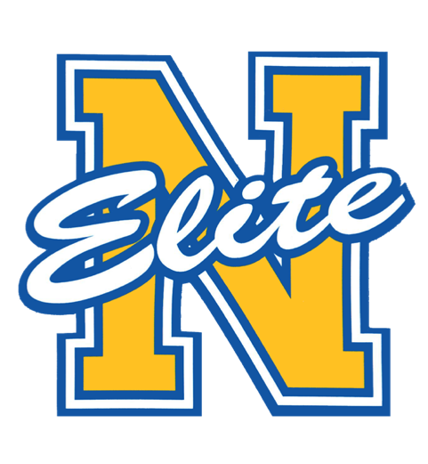Nemesis Logo(1).png