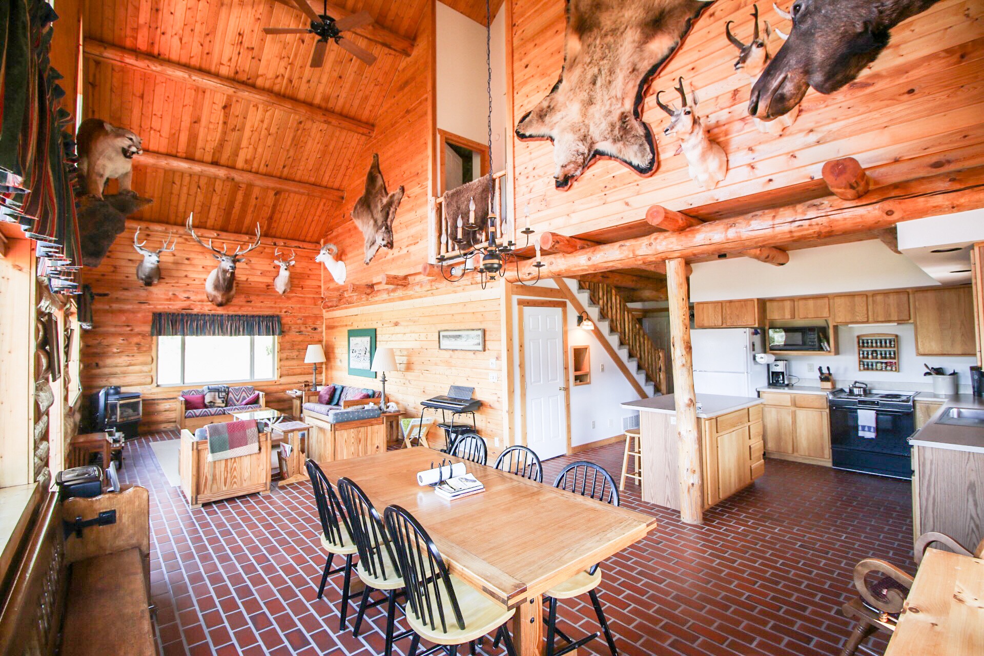 living room:kitchen.jpg