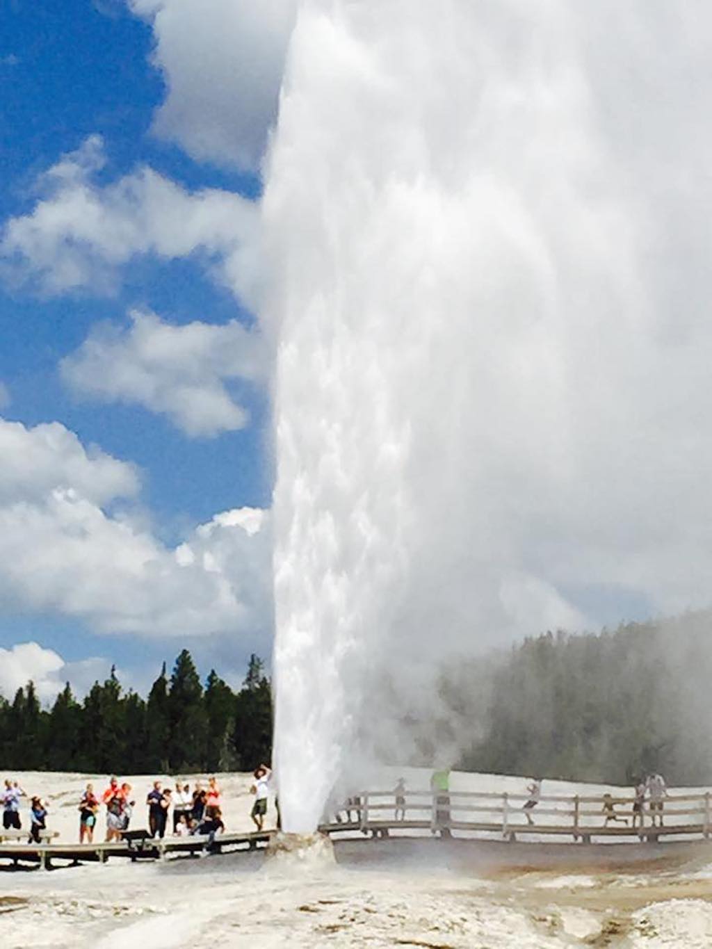 old faithful.jpg