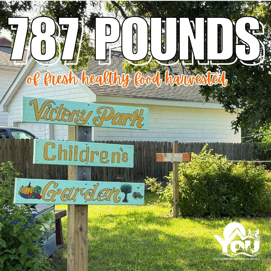 What a harvest from our Victory Park Children's Garden! 🍅🥕

Thanks to the expert guidance of our Garden Manager, Bob Nichols, and the hard work of our participants, we gathered an amazing 787 pounds of produce! This fresh bounty helps nourish our p