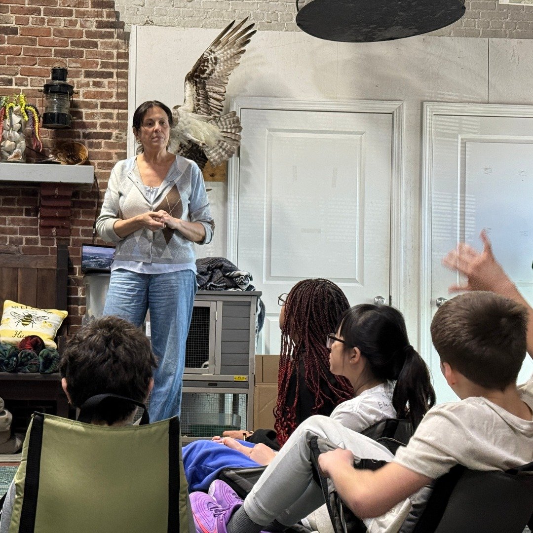 Today in our WINter Discoveries program, we welcomed a special visit from @newbedfordsymphonyorchestra! 🎶🐋

Our participants experienced the Whales in Motion presentation that makes scientific concepts accessible through melody! Participants explor