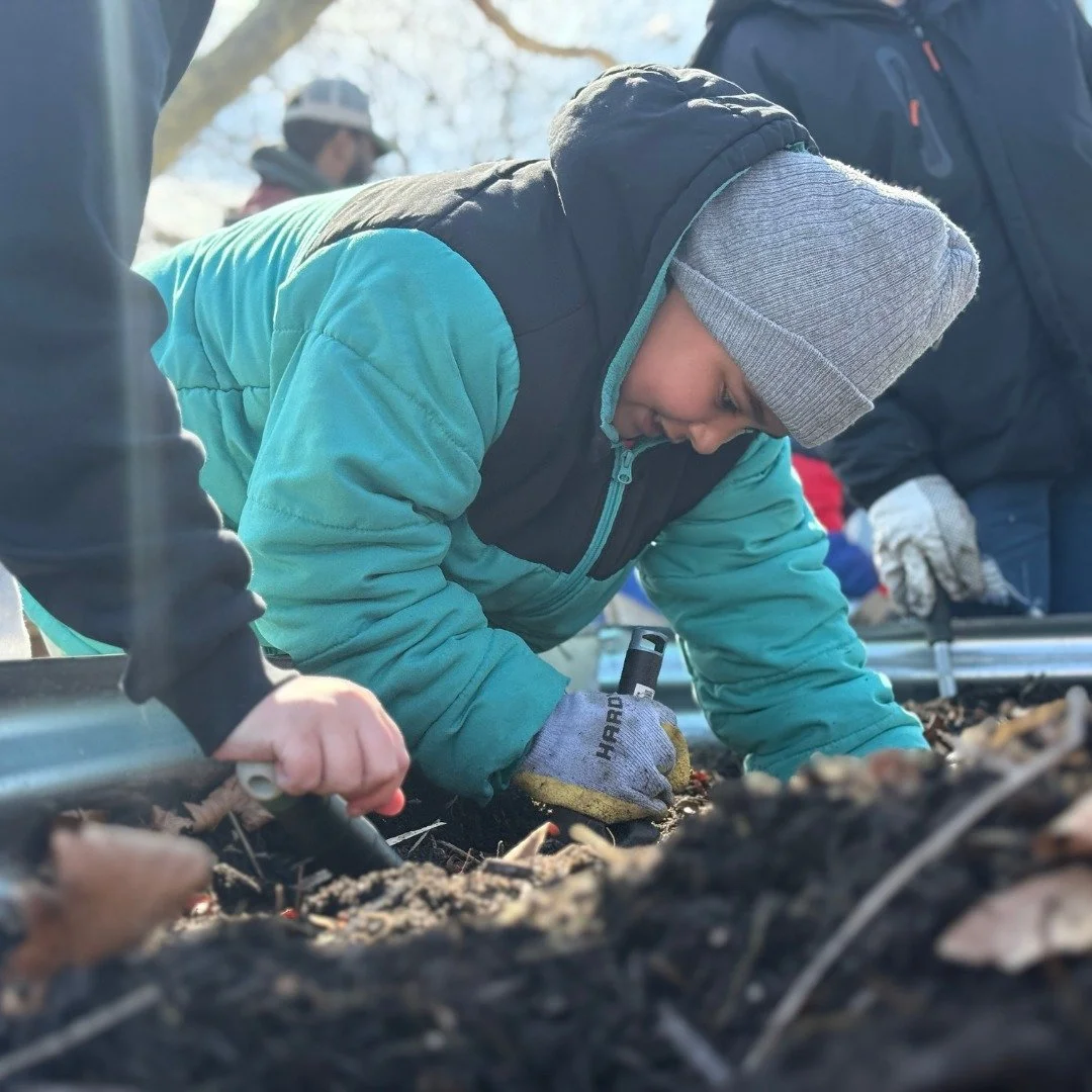 Yesterday, students from @newbedfordpublicschools got their hands in the dirt and explored the art of gardening 🌱✨ From tilling the soil in the garden beds by our Warming House to planting seeds alongside our Garden Manager, Bob, these young growers