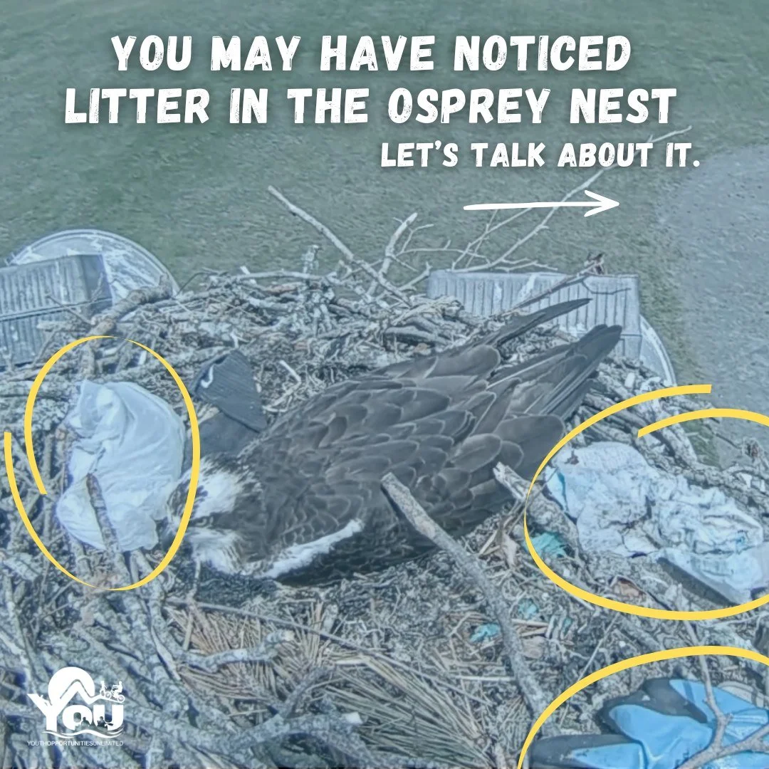 Let&rsquo;s all do our part to help keep our local ospreys safe. 🪶

A single piece of litter picked up can make a difference for wildlife and the environment we all share. If you see trash around our local beaches, parks, or neighborhoods, take a mo