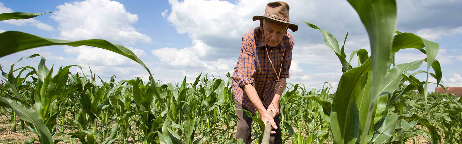 crops-1920x600.jpg