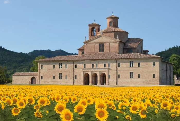Announcing our expansion FESTIVAL OF INTERNATIONAL OPERA 2020 Italian Season