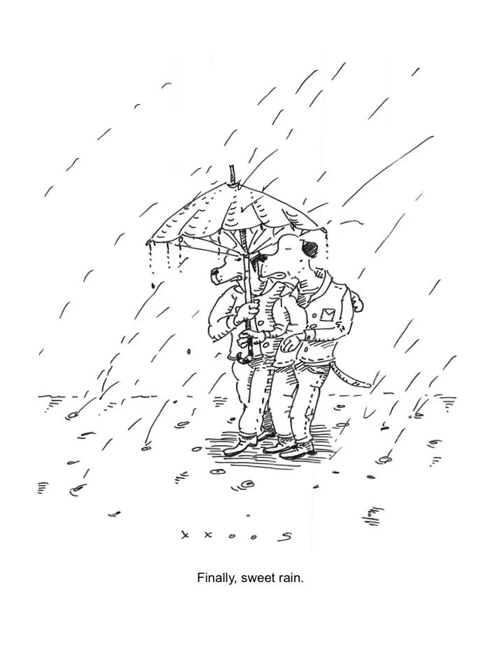 Finally, sweet rain