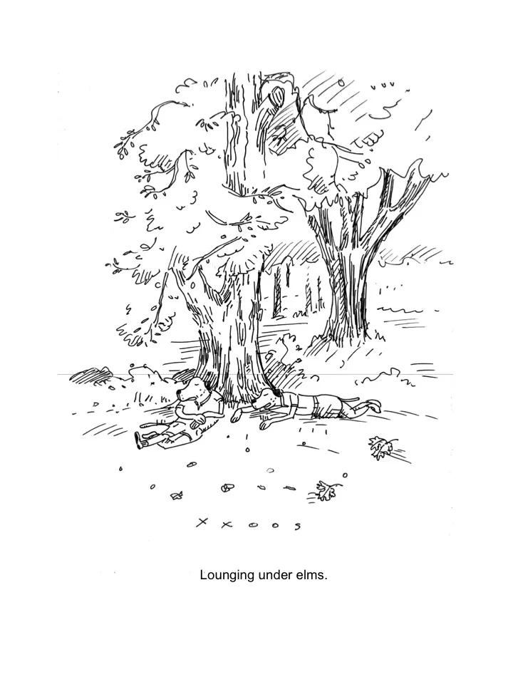 Lounging under elms