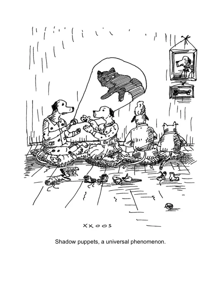 Shadow puppets, a universal phenomenon