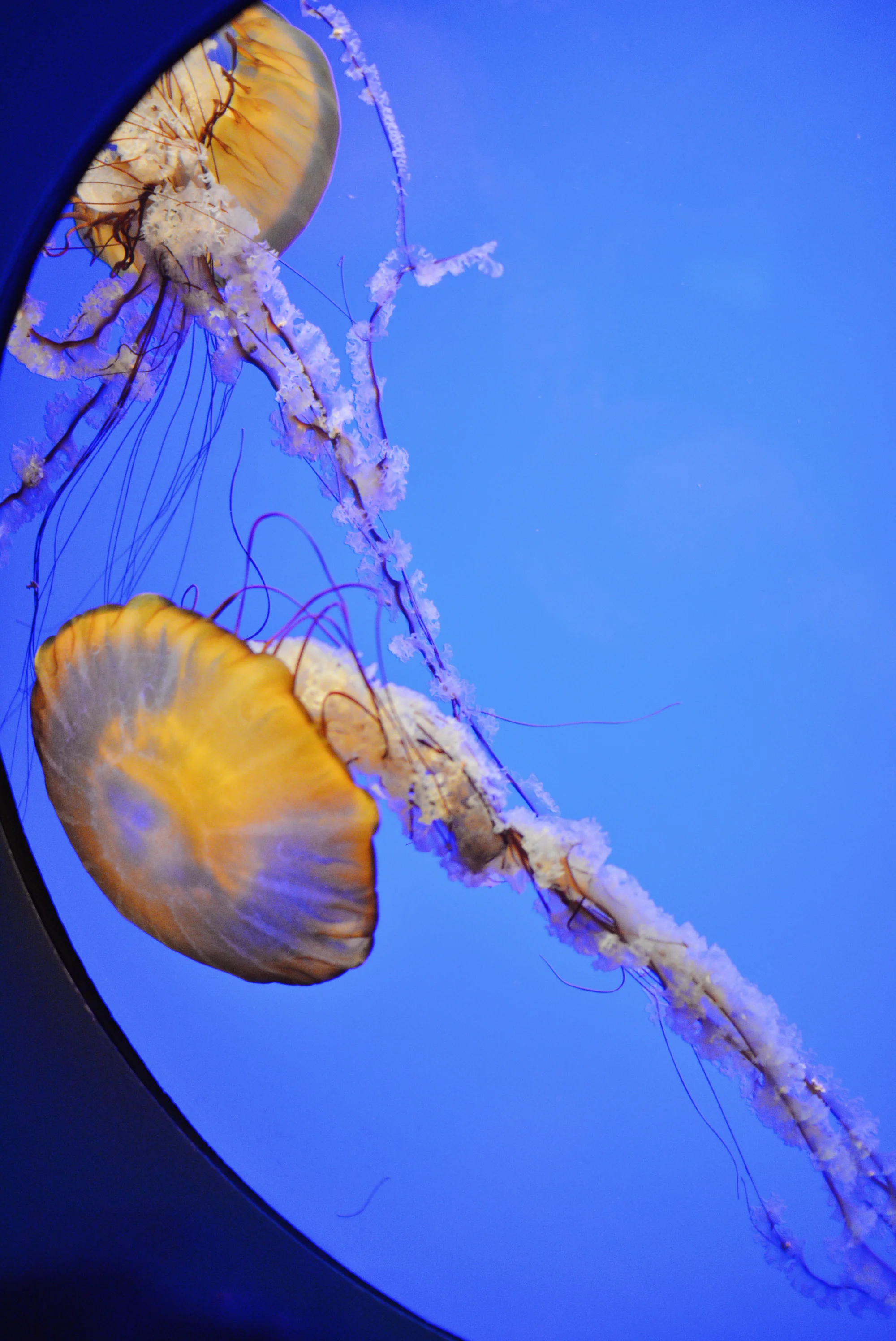 DSC_1826.jpg